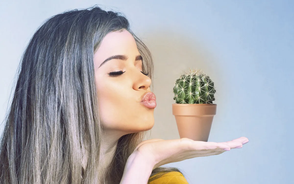 Frau küsst Kaktuss
